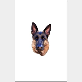 German Shepherd Dog Posters and Art